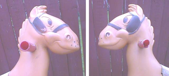 Ya gotta love that face