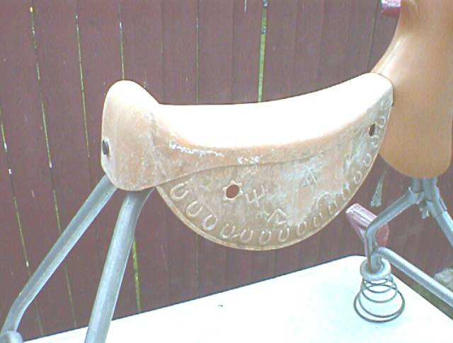 this is where a tail belongs